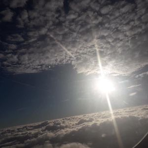 Meet your Posher, Bennett